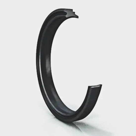 NBR Double-Acting Rubber Dust Seal Ring for Hydraulic Cylinder